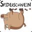 Spid=E=rschwein