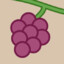 Vineyard