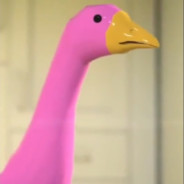 Розовий гусь