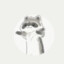 Raccoon