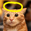 angelic ian