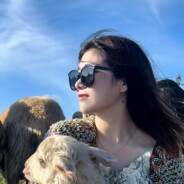 风筝在阴天搁浅