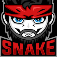 sNaKe