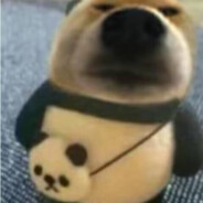 再刀一次把虚桑