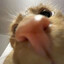 Jagi