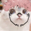 KSx_Z