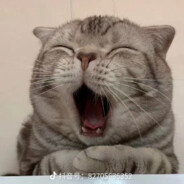 重生之变成教育局长抽查直布罗陀小学