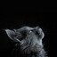 Sleepy&lt;3El