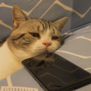 我落泪情绪零碎