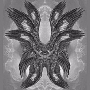 omnivore's avatar