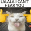 C P A K A