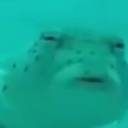 0 - steam id 76561198213556821