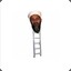 Bin Ladder