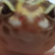 Павел Подвохов