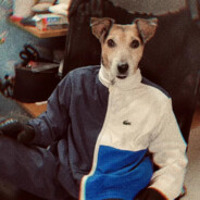 立在作甚麽，大沙春