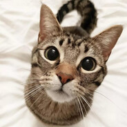 ♛ⓃⒶⒹⓊⓉ♛