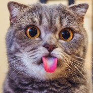 Увлажнитель кисоk