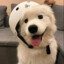 糕冷小鑫