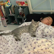 你不喜欢吃香菜你有问