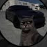 POliSh_skins.army