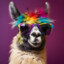 Enigmatic Llama