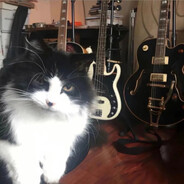 断虹霁雨净秋空