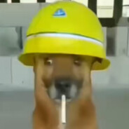 玩家头像