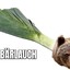 BaeRLauch