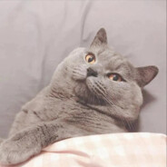 他拿杀虫剂喷我