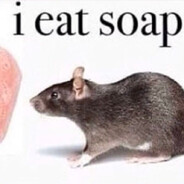 rat