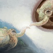 Squid_Of_The_Cloth