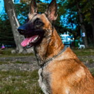 keyesiks - steam id 76561198997758205