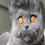 Koshak avatar