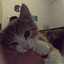 w8 for u
