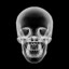 xrayy7