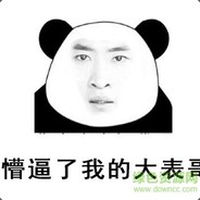 不听不听，全甲沙鹰