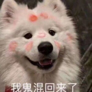 LIFE IS A FXXKING MOVIE