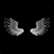 `fly