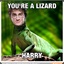 you&#039;re a lizard HARRY