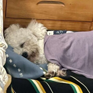 hxl126000