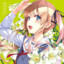 Lilyの花