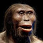 Neandertal Homosapiens