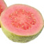 A Guava Fruit