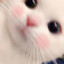 如你眉间山水