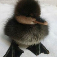 Прислуга(奴隷)