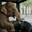 Elefante conduciendo autobús