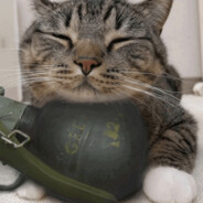 legend rekin ot tyłu