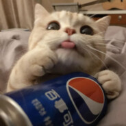 Coke猫