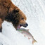 Trout Sniffer's avatar