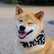 梦中迷离思不语